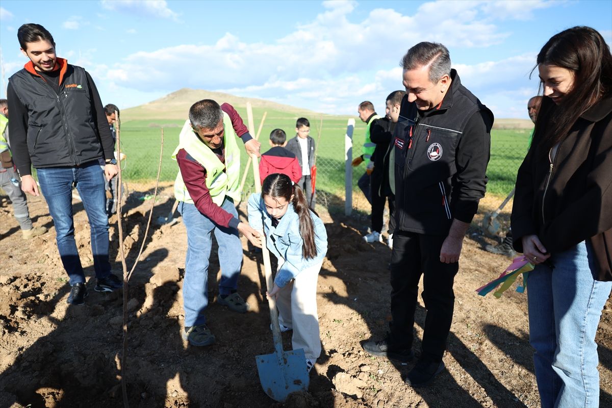 Sungurlu'da Çocuk ve Genç Meclisi üyeleri fidan dikti