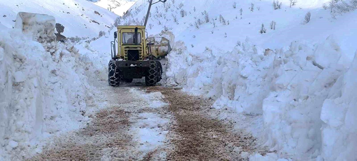 Yurda bahar geldi, Ovacık'ta karla mücadele sürüyor