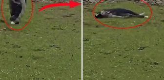 İsrail'den Suriye topraklarına baskın! Sivillere ateş açtılar
