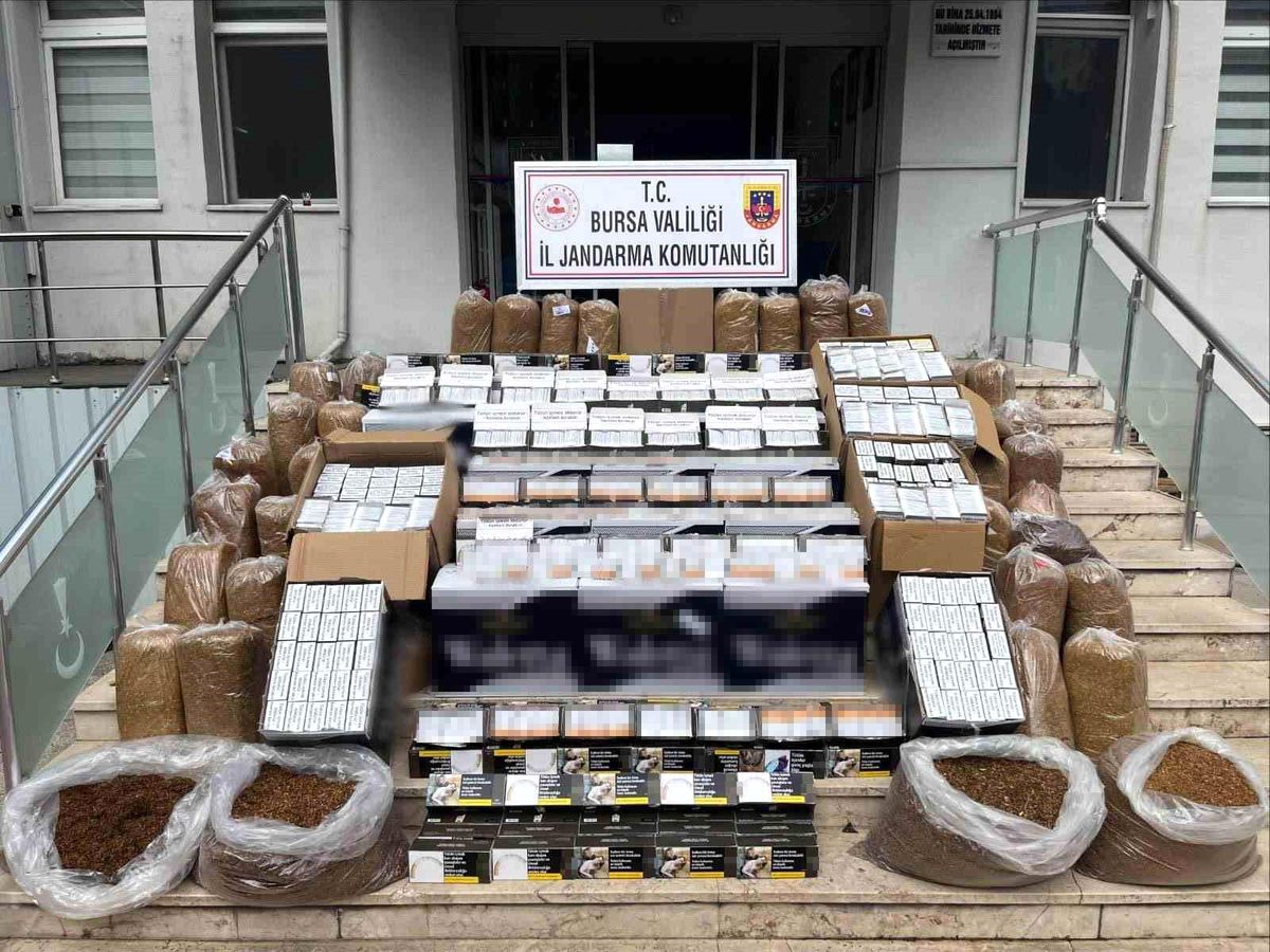 Bursa'da kaçak tütün operasyonu: 205 bin adet makaron ele geçirildi
