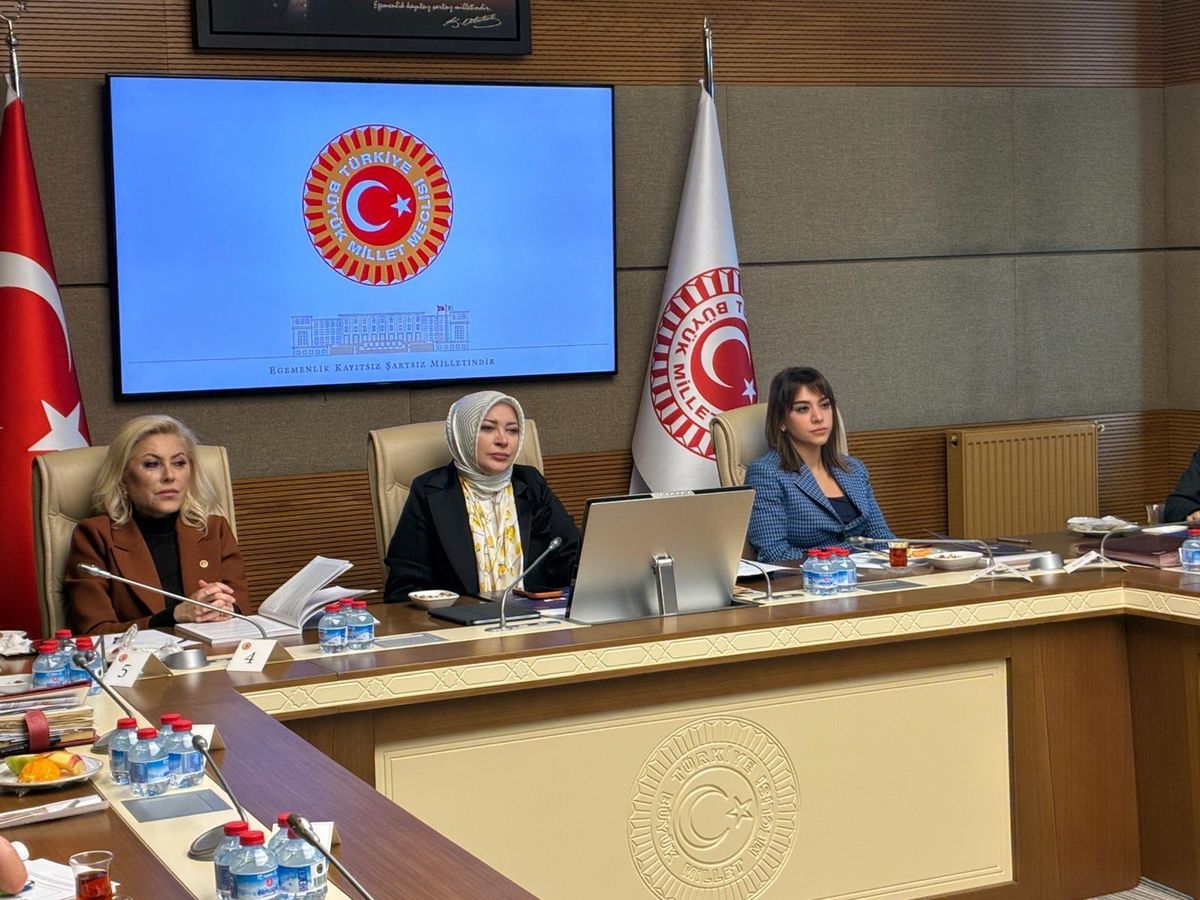 Kamu Denetçisi Benli: Cinayete maruz kalan kadınların yüzde 88'inin koruma kararı yok