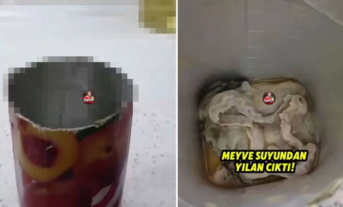 Meyve suyundan yılan mı çıktı, yılan çıkan meye suyu hangi marka, video gerçek mi, yapay zeka mı?