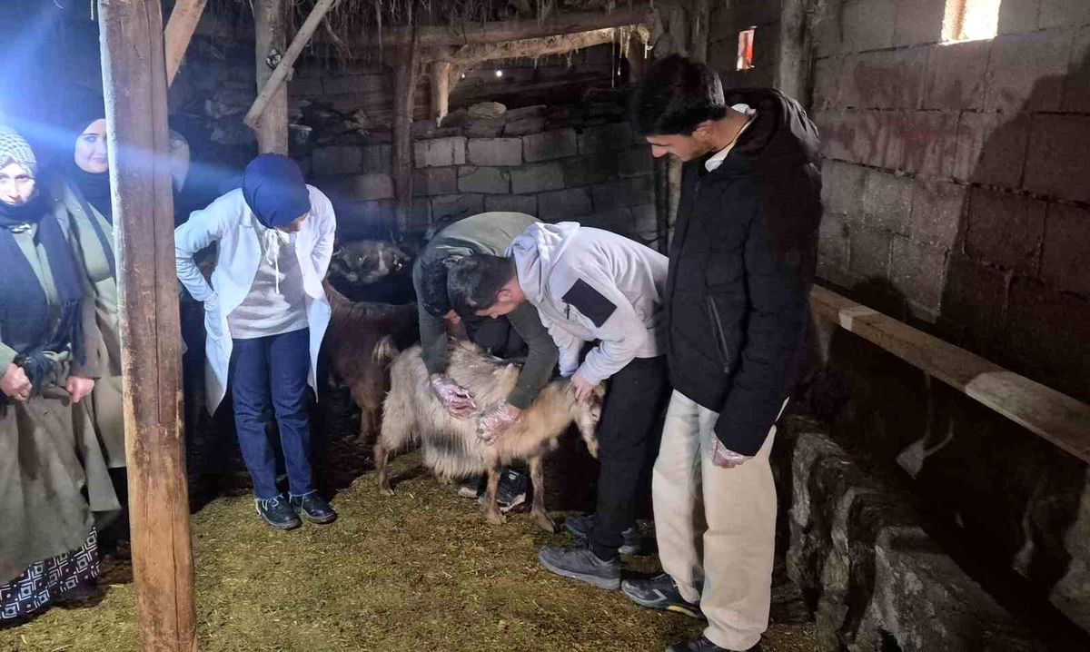 Özalp'te çiftçilere yönelik eğitim seferberliği başlatıldı