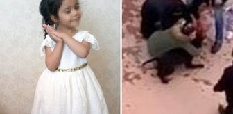 Gaziantep'te küçük Asiye'ye pitbull saldırısı davasında 6 sanığa hapis cezası verildi