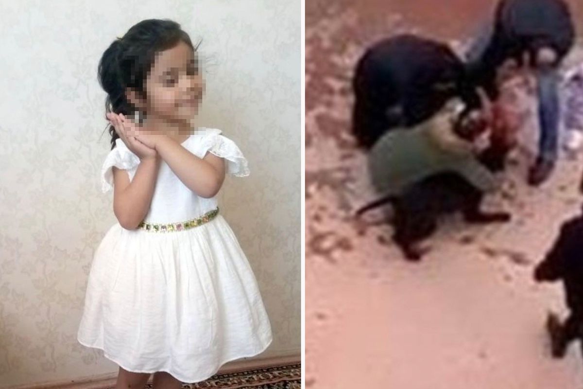 Gaziantep'te küçük Asiye'ye pitbull saldırısı davasında 6 sanığa hapis cezası verildi