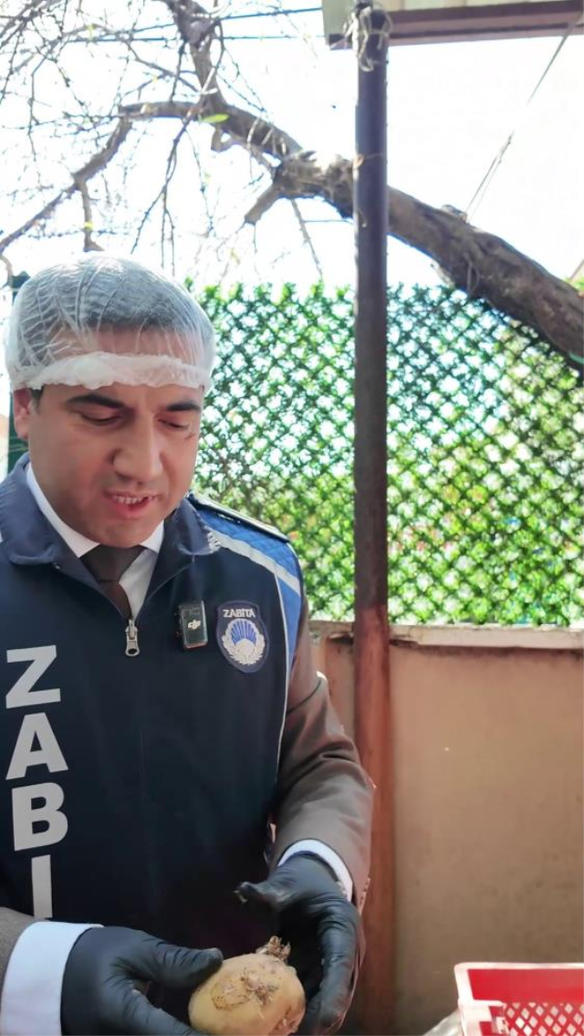 zabita gordugu manzara karsisi 19712333 9383 2 m
