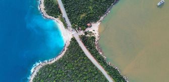 Görüntü Amazonlar'dan değil! Şaşkınlık yaratan manzara