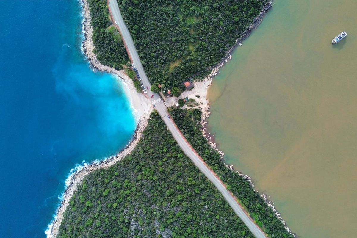 Görüntü Amazonlar'dan değil! Şaşkınlık yaratan manzara