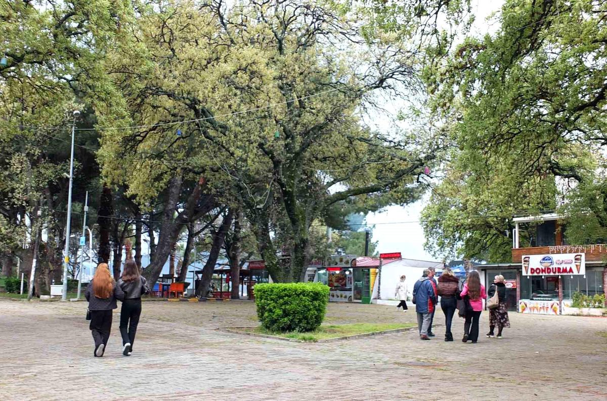 Burhaniye'de tescilli tarihi meşeler Ören'e güzellik katıyor