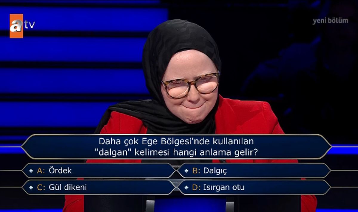 Daha çok Ege Bölgesi'nde kullanılan "dalgan" kelimesi hangi anlama gelir?