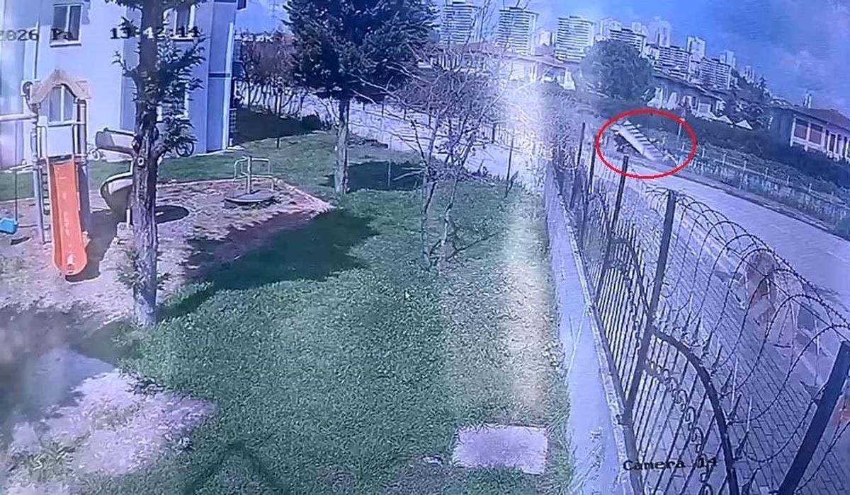 Dereye uçan kamyonetin sürücüsü hayatını kaybetti
