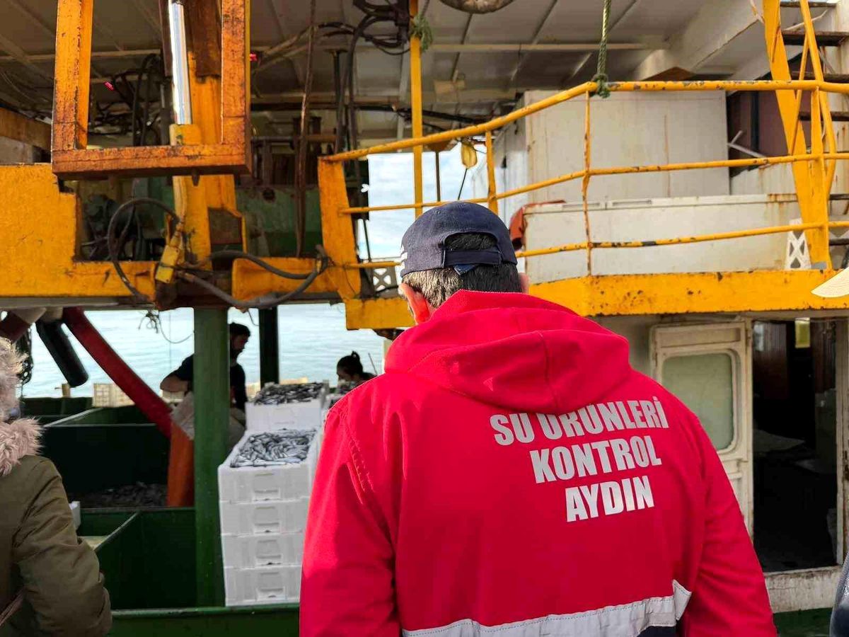 Hamsi kotası için Didim'de denetim yapıldı