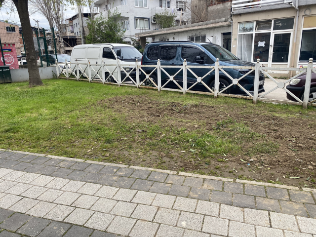 parktan topladiklari bitki az 19718550 8443 2 m