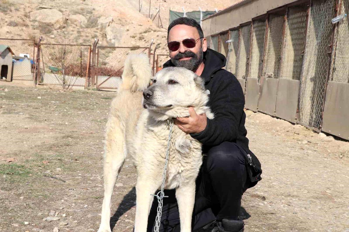 Rus güzele gönlünü kaptıran kangala kadınlardan tepki: "Bizim erkeklerimiz böyledir"
