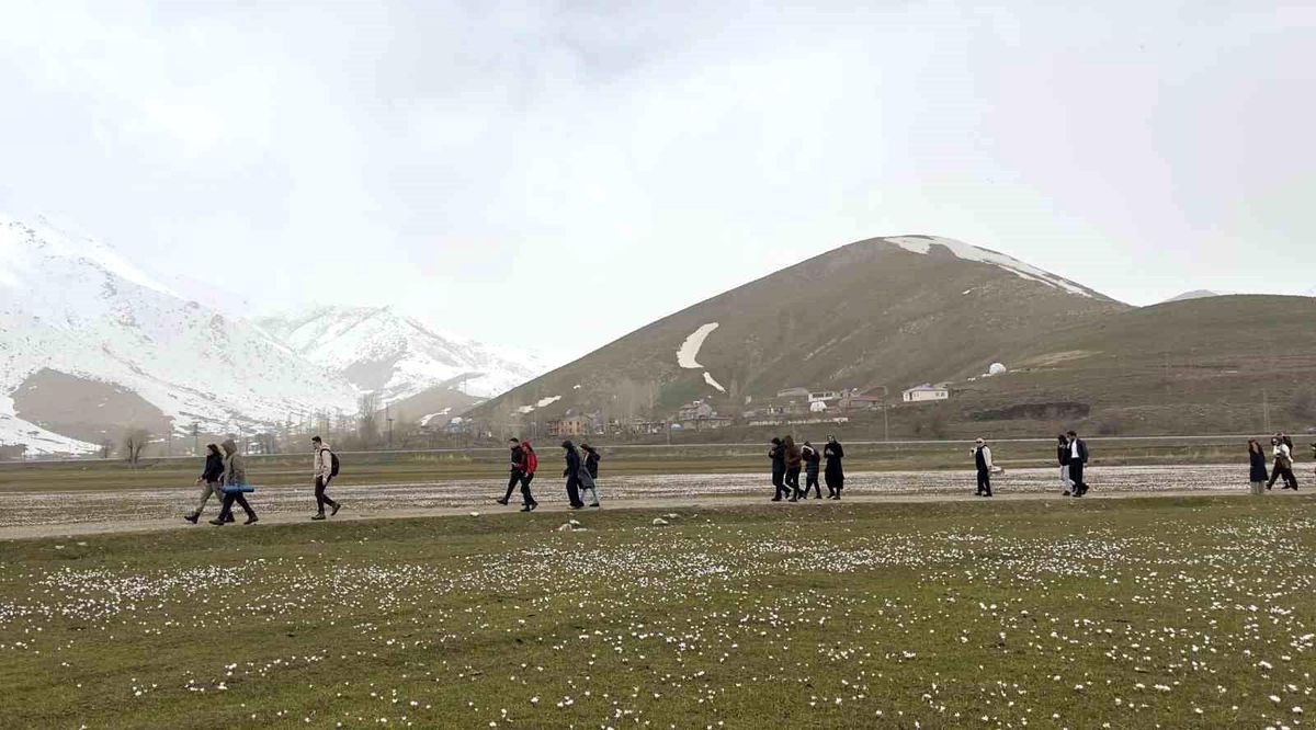 Üniversite öğrencilerinden çiğdemler arasında doğa yürüyüşü