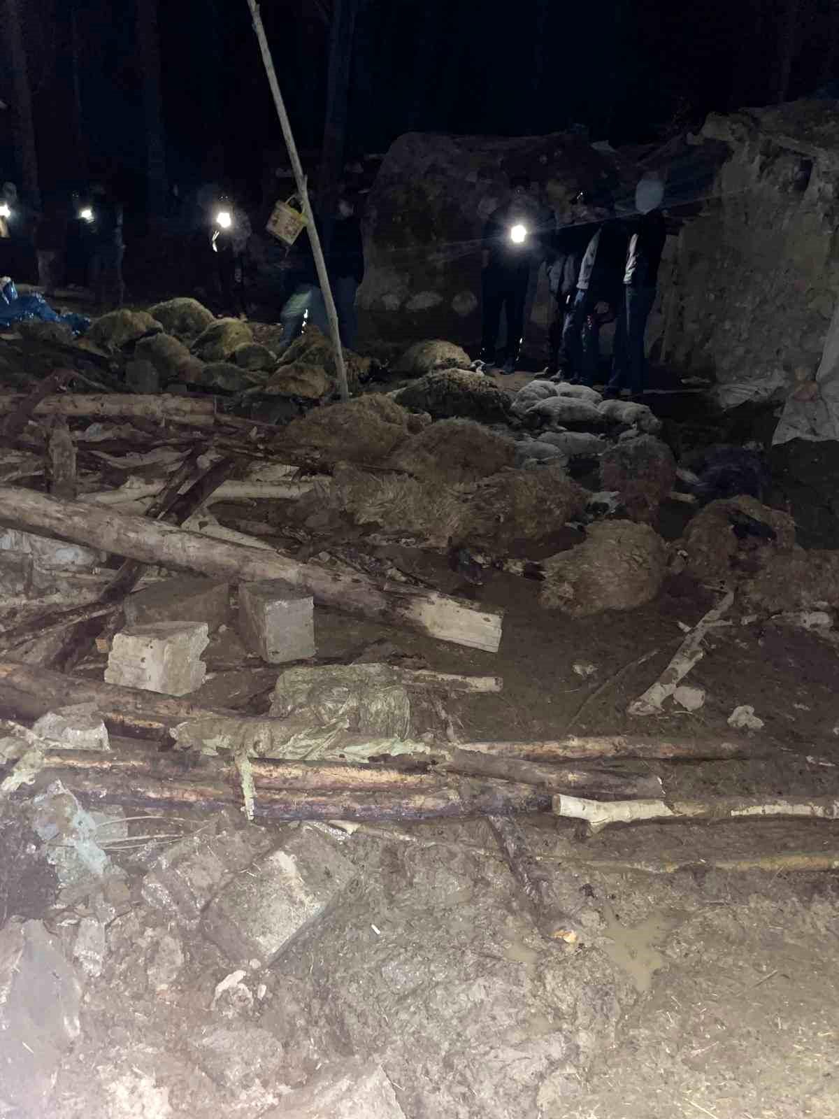 Van'da ahır çöktü: 56 küçükbaş hayvan telef oldu