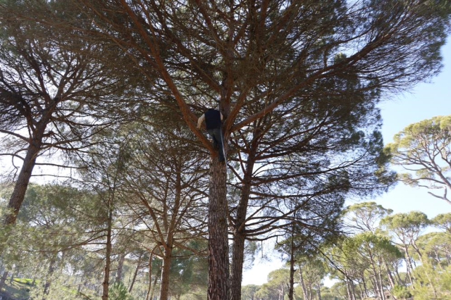 orumcek adamlari is basinda 642184e576 9585 2 m