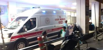 Şanlıurfa’da feci kaza: Baba ve iki oğlu yaşamını yitirdi