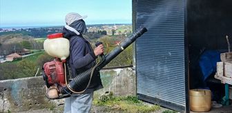 19 Mayıs'ta kahverengi kokarca ile mücadele çalışmaları sürüyor
