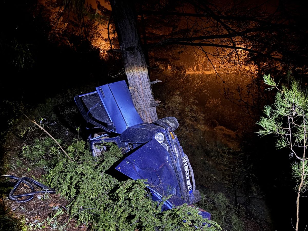 Adana'da ağaca çarpan otomobildeki 3 kişi yaralandı