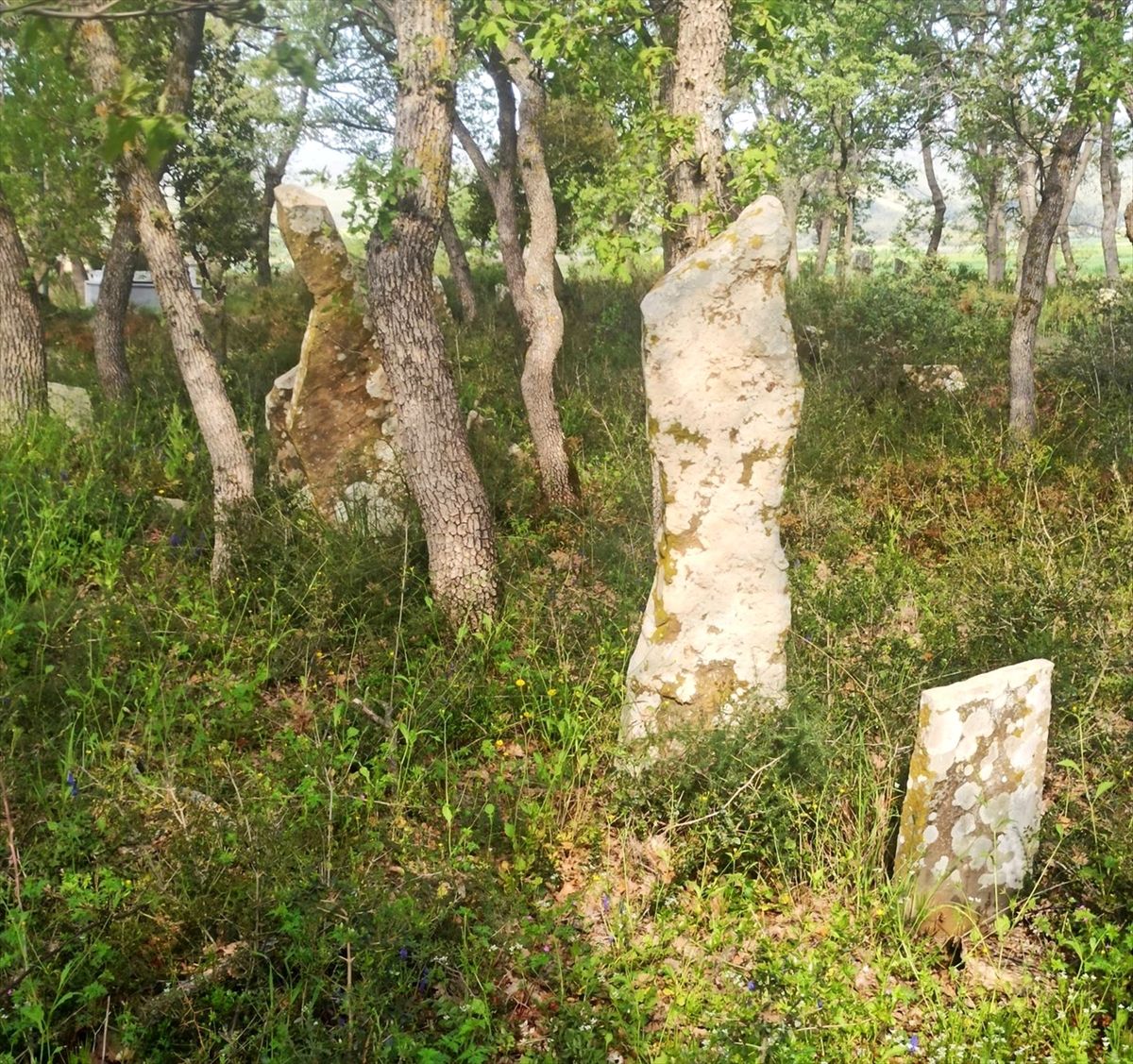 Adilhan Şehitliği'nde düzenleme çalışması başlatıldı