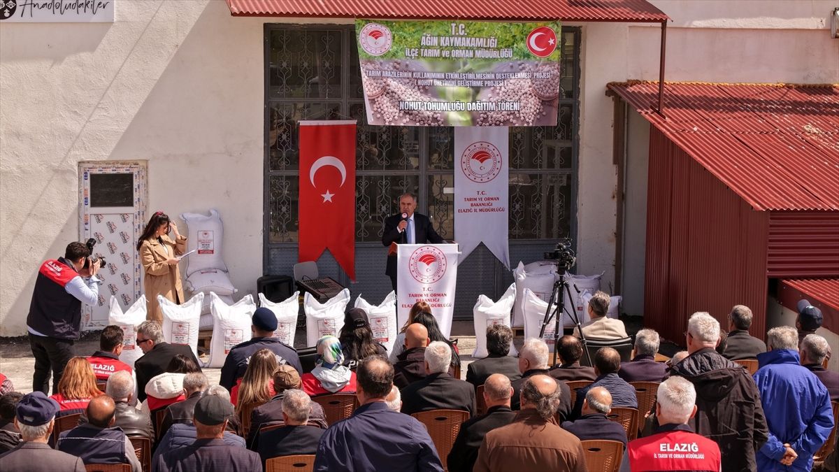 Ağın'da 108 çiftçiye nohut tohumu dağıtıldı