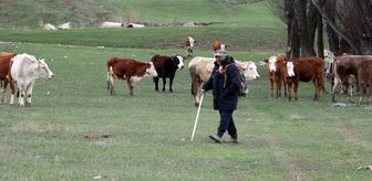 Ağrı'da karların erimesiyle hayvanlar meralara çıkarıldı