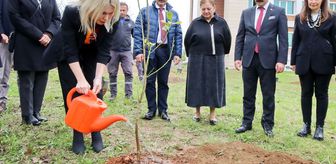 Akdeniz Üniversitesinde iki yılda 5 bin 403 fidan toprakla buluşturuldu