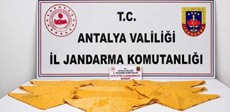 Alanya'da uyuşturucu operasyonunda 2 şüpheli yakalandı