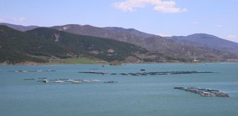 Almus Baraj Gölü'nde doluluk yüzde 82'ye ulaştı