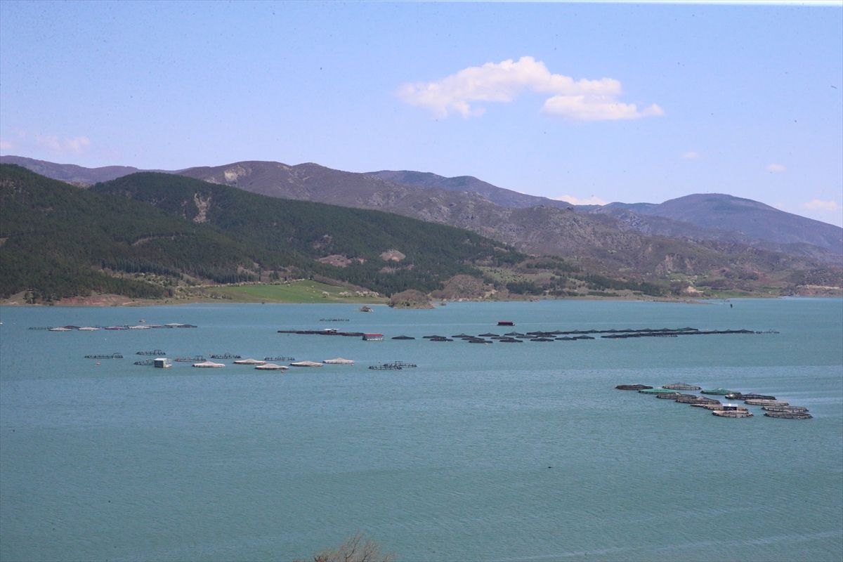 Almus Baraj Gölü'nde doluluk yüzde 82'ye ulaştı