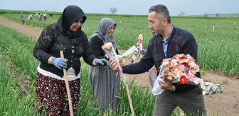 Amasya'da Yeniden Refah Partisi'nden tarım işçisi kadınlara ziyaret