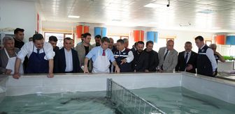 Amasya'daki tesiste mersin balığı ile sazan ve yayın balığı üretimi yapılıyor