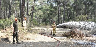 Antalya'da orman yangınlarına karşı tatbikat yapıldı
