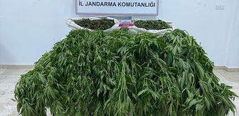 Antalya'da uyuşturucu operasyonunda 1 kişi tutuklandı