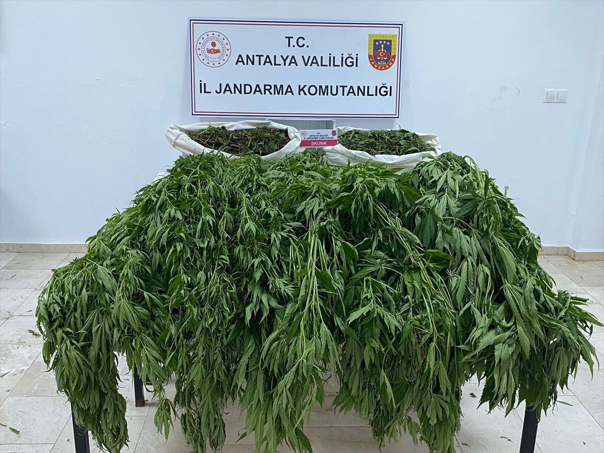 Antalya'da uyuşturucu operasyonunda 1 kişi tutuklandı