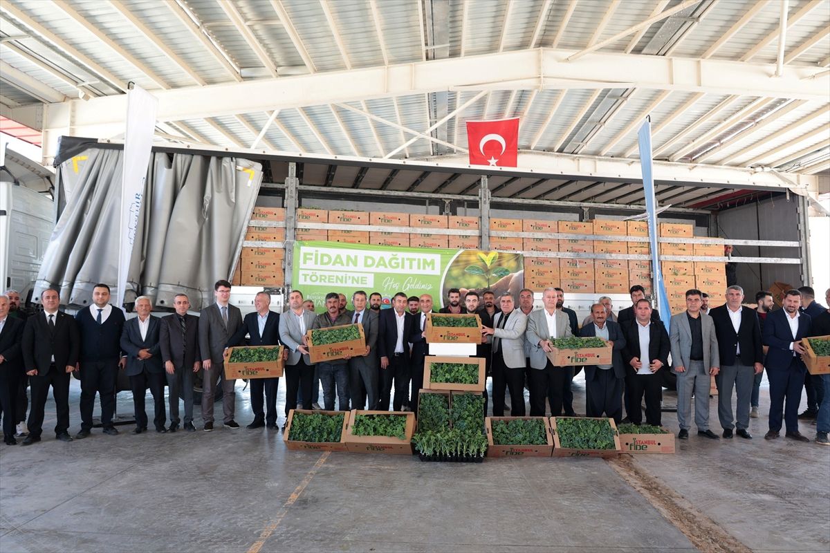 Araban'da karpuz üreticilerine karpuz fidesi dağıtıldı