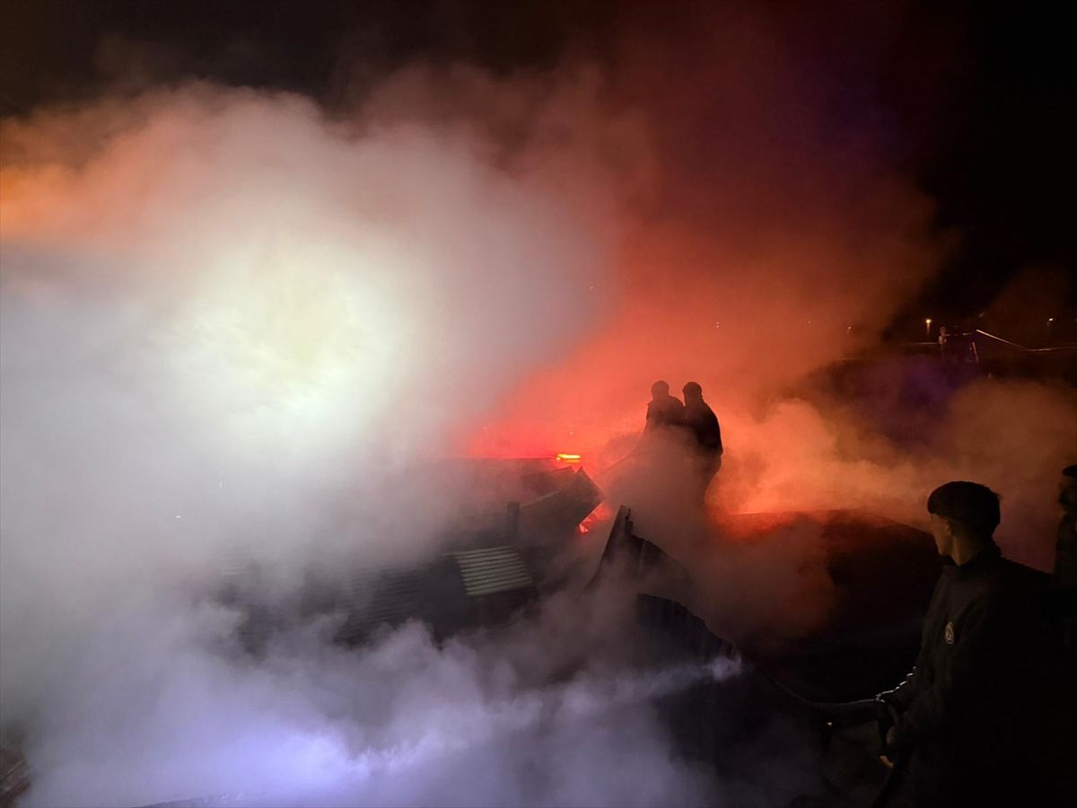 Ardahan'da çıkan ev yangını hasara neden oldu