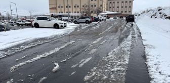 Ardahan'da kar yağışı etkili oldu
