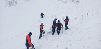 Artvin'de çığ altında kalan çobanı arama çalışmaları yeniden başladı