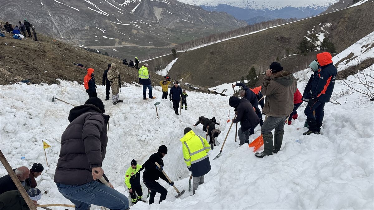 Artvin'de çığ altında kalan çobanı arama çalışmaları sürüyor