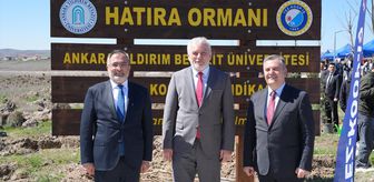AYBÜ Esenboğa Külliyesi'nde 2 bin fidan toprakla buluşturuldu