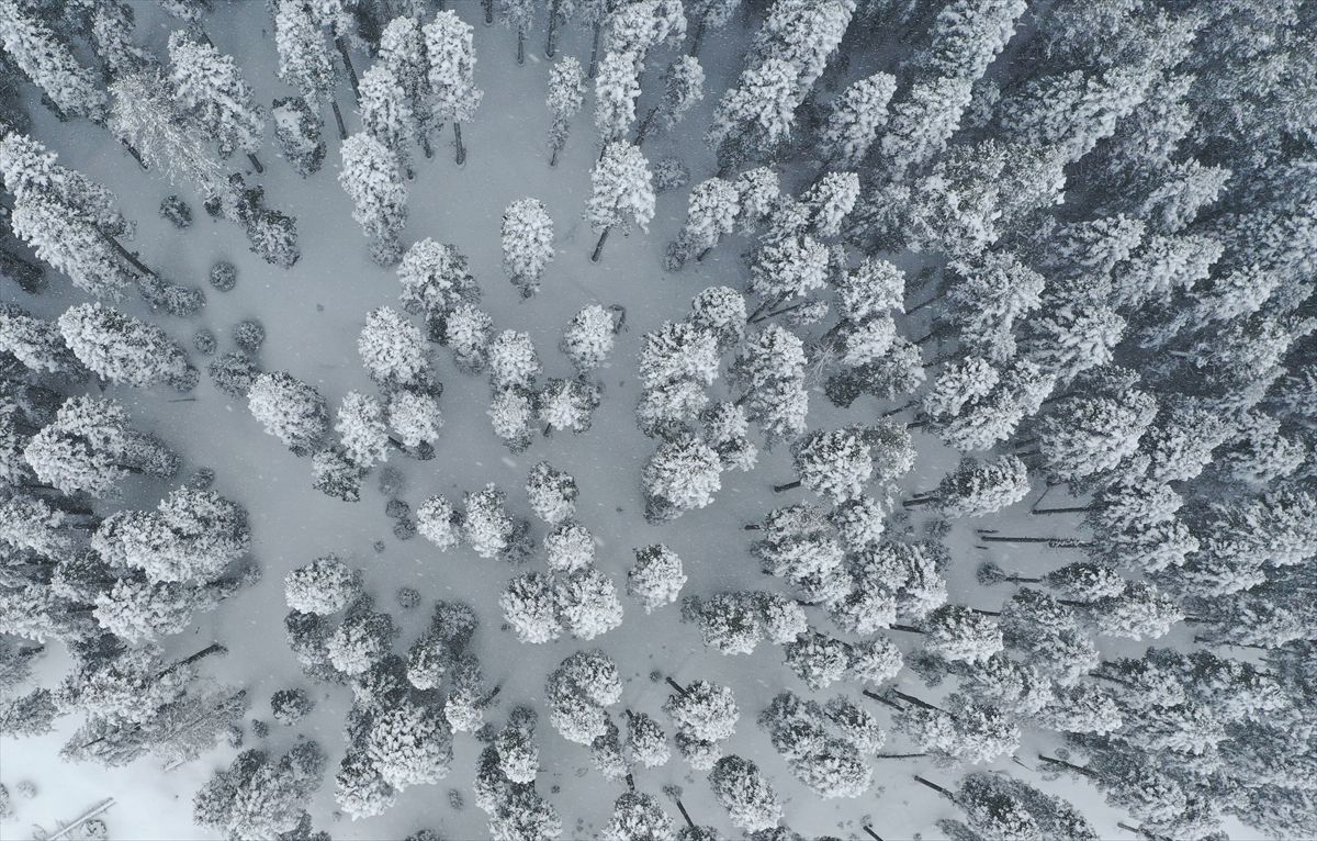 Baharda kışı yaşayan Ilgaz Dağı'nda beyaza bürünen ormanlar dronla görüntülendi