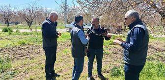 Baskil'de kayısı bahçelerinde teknik inceleme yapıldı