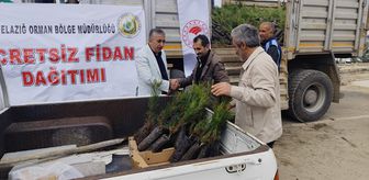 Baskil'de vatandaşlara 20 bin fidan dağıtıldı