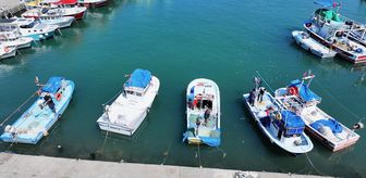 Batı Karadeniz ve Doğu Marmara'da balıkçılar bu sezon umduğunu bulamadı