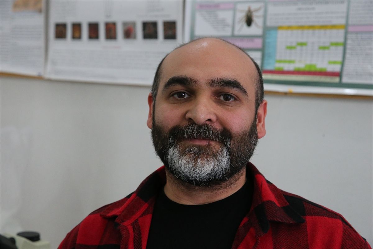 Hava sıcaklıklarının artmaya başlamasıyla "kenelere karşı dikkat edin" uyarısı