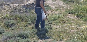 Beypazarı'nda etkili olan yağışların ardından mantar sezonu başladı