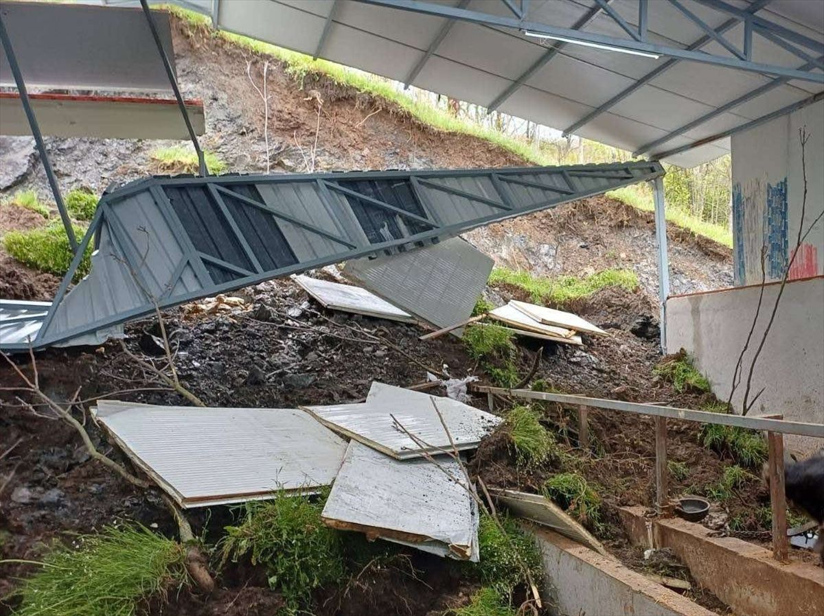 Bilecik'te toprak kayması nedeniyle çöken ahır duvarının altında kalan 3 büyükbaş telef oldu