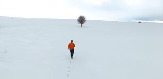 Bingöl'ün kuzeyinde kış, güneyinde bahar yaşanıyor